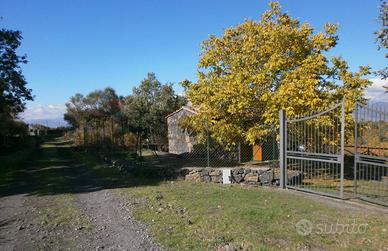 Baita/Chalet/Trullo - Maletto