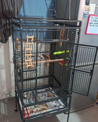 Voliere per pappagallo e accessori