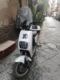 SKY 2 NEXT elettrico 250 watt