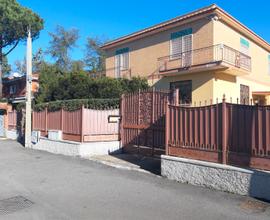 Aurelia locale c/2