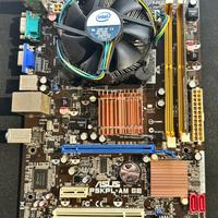 Scheda madre ASUS PSKPL-AM SE ( LGA 775)