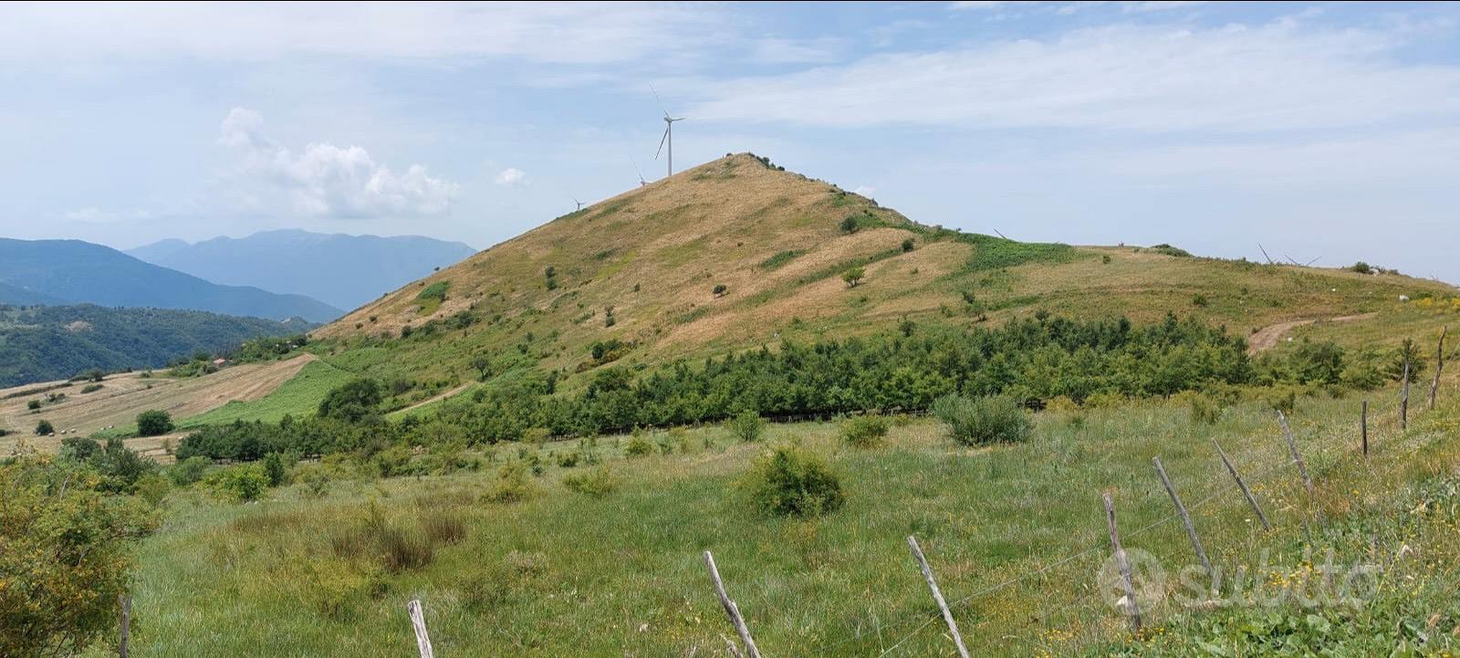 Terreno agricolo con bosco - Vista 3