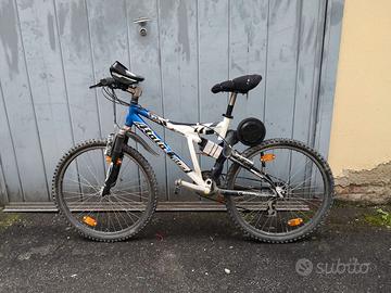 Bicicletta elettrica (artigianale)