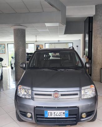 Fiat Panda 1.3 MJT 16V DPF 4x4 Climbing