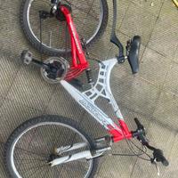 Bicicletta ragazzo doublezz