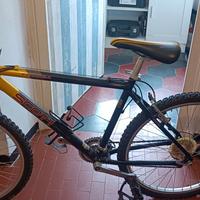Mountain bike scot