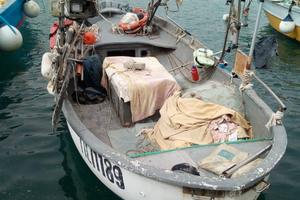 Guzzo con licenza di pesca removelica