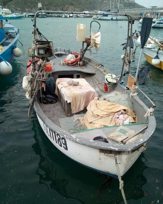 Guzzo con licenza di pesca removelica