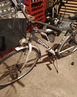 bici da uomo 