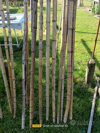 canne di bamboo per orto