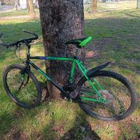 Bicicletta Mountain bike Bianchi 26 pollici 