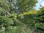 Immagine 14