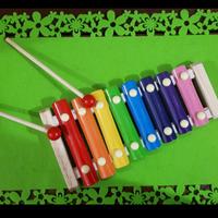 Xilofono per bimbi dai 3 anni in poi