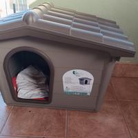 casetta per cani