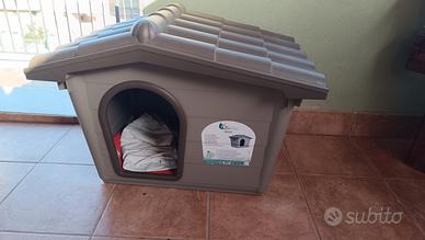 casetta per cani
