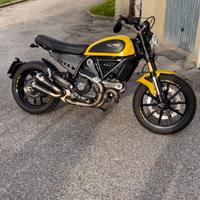 Ducati scrambler 800