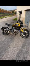 Ducati scrambler 800