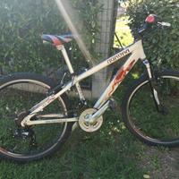 bicicletta ragazzi  MTB   Aurora