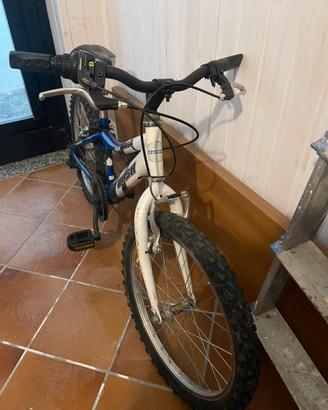 Bici Bambino