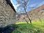 Immagine 10