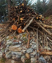 Legna da ardere in stanga o tagliata