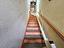 Immagine 14