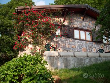 Chalet rubner e strutture allevamento cani