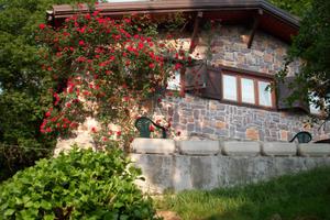 Chalet rubner e strutture allevamento cani