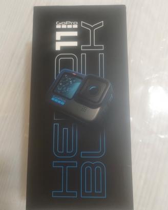 GO PRO  11  , ACTIONCAM