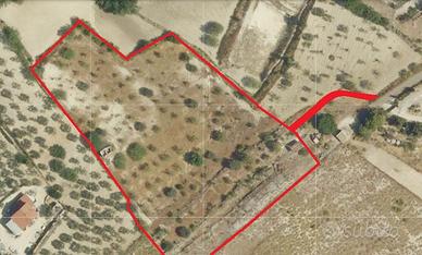 Rif.CM136- terreno agricolo san cataldo