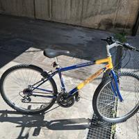 bicicletta mountain bike marca shadow