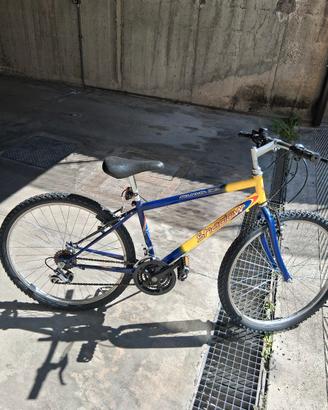 bicicletta mountain bike marca shadow