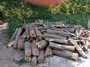 legna da ardere leccio cerro quercia