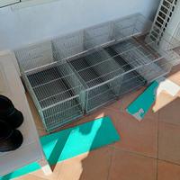 4 gabbie zingata da 55cm