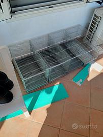 4 gabbie zingata da 55cm