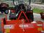 Immagine 12
