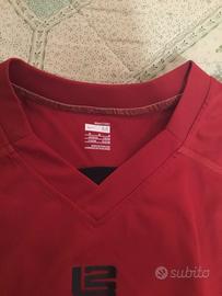 Lebron james smanicato