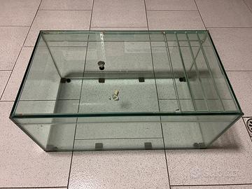 Terrario in vetro per rettili