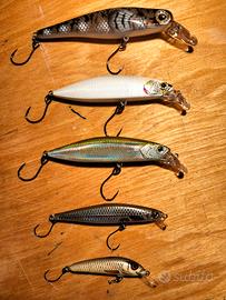 Kit minnow trota marmorata/aspio