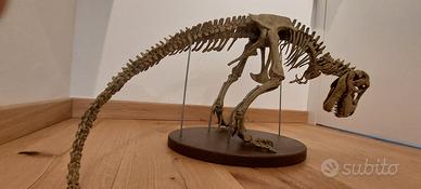 Dinosauro T-Rex