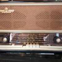 Radio giradischi della fonico geloso