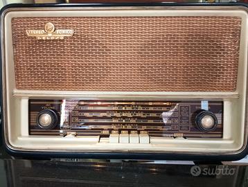 Radio giradischi della fonico geloso