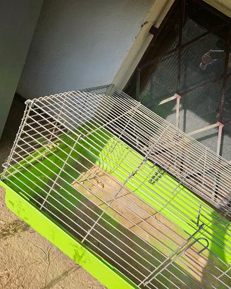 Gabbia coniglio o roditori grandi VERDE