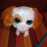 CAGNOLINO FURREAL INTERATTIVO