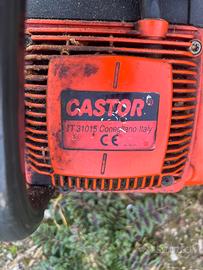 Motosega alpina e castor