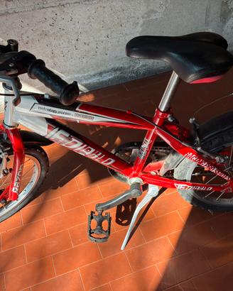 Bicicletta