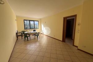 MULTILOCALE A CORTE FRANCA