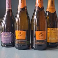spumante vino dolce secco brut