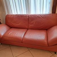 Divani in pelle