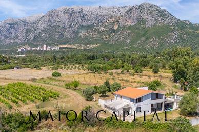 Siniscola | Villa con vigneto e frutteto ai piedi